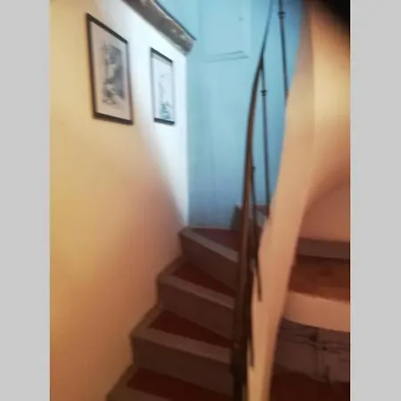 Le Petit Nid Apartment L'Isle-sur-la-Sorgue